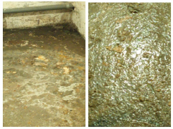 Отходы жизнедеятельности затопили жителей пятиэтажки в Воронеже