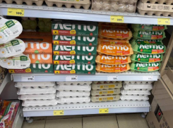 Миллиардом яиц должна порадовать страну Воронежская область 