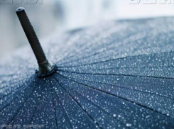 К концу рабочей недели в Воронеже похолодает и пойдут дожди