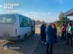 Воронежцы продолжают жаловаться на маршрутки депутата Крутских   