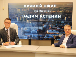 Ждать ли платных парковок в других районах Воронежа, рассказал сити-менеджер Кстенин
