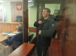 Ленинский суд оставил в СИЗО воронежского экс-депутата гордумы Романа Жогова