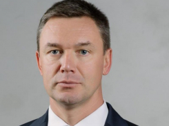 Опубликована переписка с фейковым вице-губернатором Воронежской области 
