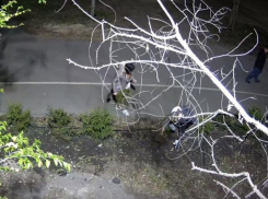 Позор на весь город попал на видео в День Победы в Воронеже