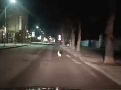 «Аж чай разлил», – необычная и эмоциональная встреча произошла в центре Воронежа