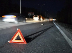 Высокопоставленного московского полицейского насмерть сбили под Воронежем  