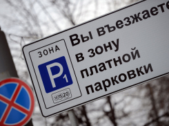 Платные парковки в центре Воронежа построят за счет бюджета