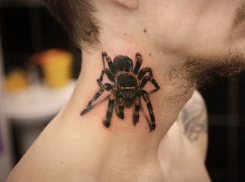 Татуировка паука стоила свободы жителю Воронежа 