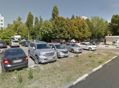 Воронежцы поторопили губернатора Гусева со сквером на Лизюкова