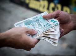 Стало известно, какие товары Воронежская область продолжает поставлять на Украину