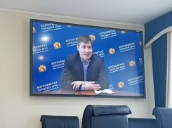 Сын депутата Трубецкого победил на торгах по земле кандидата в мэры Воронежа