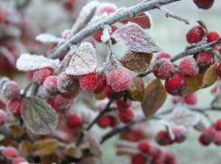 В Воронеже на рабочей неделе похолодает до -8 