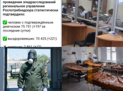 Коронавирус в Воронеже 3 апреля: +197 зараженных, рост смертности и голые лица