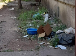 Воронежцы увлеклись выбрасыванием мусора из окон