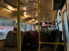 Три новых автобусных маршрута запустят в Воронеже