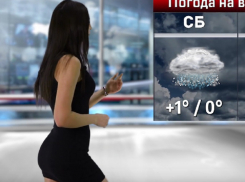 Аномальное тепло нанесет удар по зиме на выходных в Воронеже 