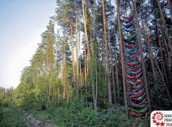 Воронежцы попали в книгу рекордов России за наибольшее количество гамаков, подвешенных на двух деревьях 