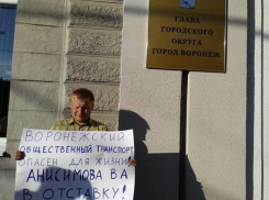 Воронежский активист потребовал отставки главы управления транспорта около мэрии