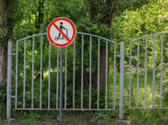 Использование электросамокатов запретили в воронежском парке «Танаис»