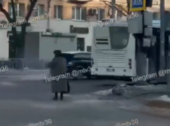 Бабушку-регулировщицу застали за полезным занятием в Воронеже  