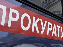 В Воронежской области умер грудной ребенок из-за бездействия чиновников