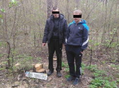 В Воронеже задержаны серийные похитители чужих автомобильных номеров 