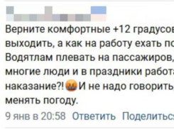Жительница Воронежа потребовала у мэра «вернуть» +12 градусов