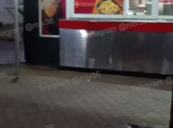 Зимнее нашествие крыс заметили в Воронеже