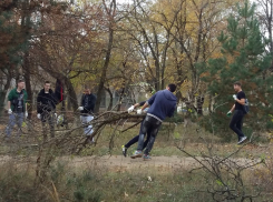В рамках акции «Чистый лес» в Воронежской области уберут валежник и мусор