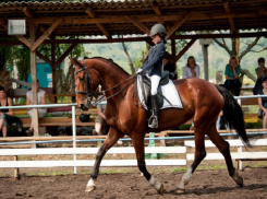 Воронежская школьница стала лучшей на Всероссийских соревнованиях по конному спорту