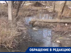 «Хоть свечу в церковь ставь»: воронежец на берегу фекального пруда окончательно отчаялся 