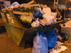 Утопающий в вони двор показали воронежцы  