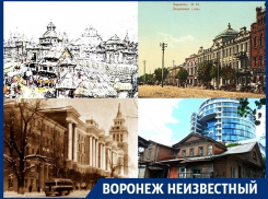 Как несчастья меняли облик Воронежа