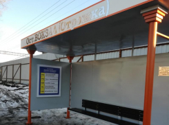 Позитивную остановку в необычном стиле подарили жителям Воронежа
