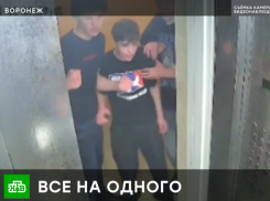 Воронежские отморозки прославились на всю страну жестоким избиением таксиста