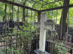 Смертность в два раза превысила рождаемость в Воронежской области 