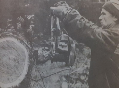 С развалом СССР началось нещадное уничтожение Сомовского лесничества в Воронеже