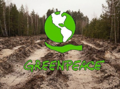 По ситуации в заказнике «Воронежском» российский «Greenpeace» обратится в Генпрокуратуру