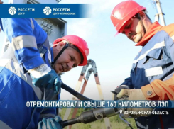 «Россети Центр» с начала года отремонтировали свыше 160 километров ЛЭП в Воронежской области