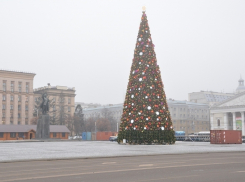 Новогодняя ёлка в Воронеже уже наряжена и сияет на площади (ФОТО)