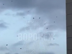 Летят с небес: загадочный налет попал на видео в Воронеже