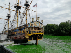 Ужасающий изумрудно-кислотный цвет Воронежского водохранилища напугал горожан