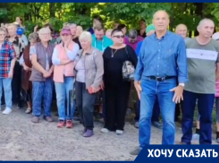 «Уже начинают вырубать», - воронежцы призвали спасти лес около Нагорной дубравы