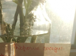 Внезапный подарок растрогал жителей многоэтажки в Воронеже 