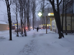 Останется ли снег с Воронежем надолго, ответил главный метеоролог региона 