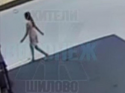 Собаки набросились на 12-летнюю девочку в воронежском Шилово 