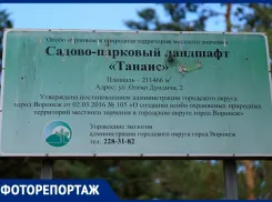 Запомните его таким: как сейчас выглядит воронежский парк, который планируют благоустроить