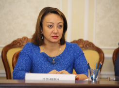 Марина Плиева переходит в областное правительство, освобождая место Галине Смирновой