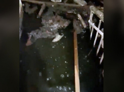 Суд призвал к ответу коммунальщиков из-за фекального озера в Воронеже