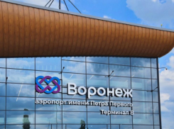Очередную компенсацию за простой получит от правительства Воронежский аэропорт